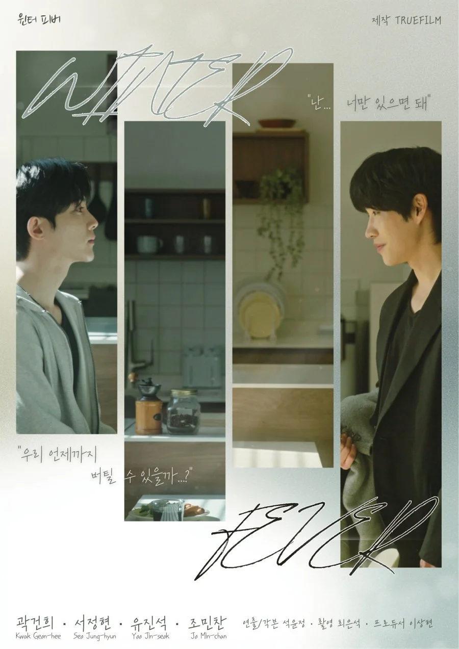 Зимняя лихорадка - главный постер